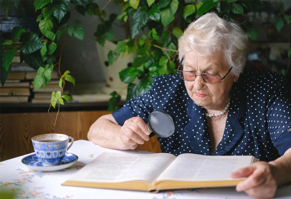 Болногледачка Германия